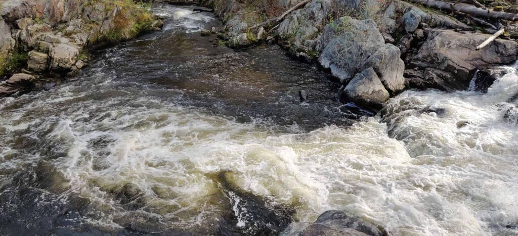 Water rushing over and through rocks, churning into small white rapids.