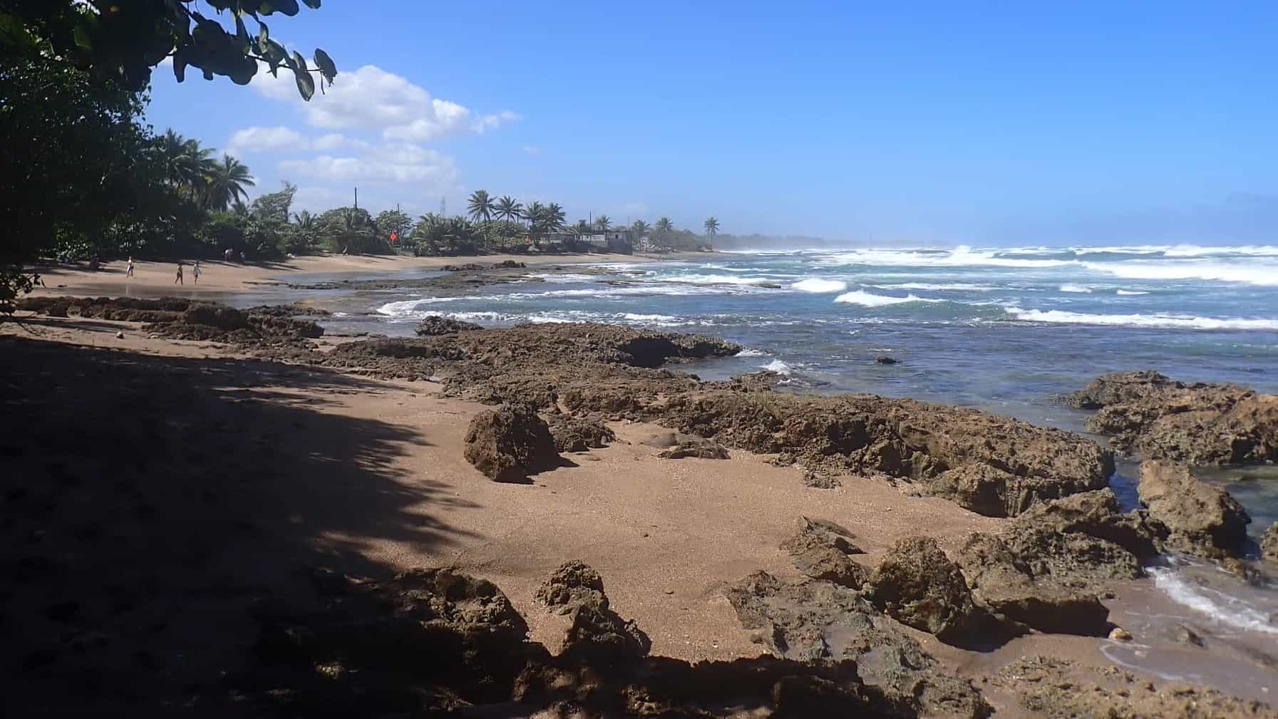 Beach with trees with ocean waves breaking over rocks