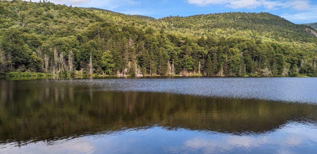 Pond at bend in road near Mt Willard in Carroll, NH